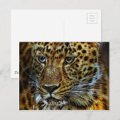 Jaguar Postkarte (Vorne/Hinten)