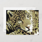 Jaguar Postkarte (Vorne/Hinten)
