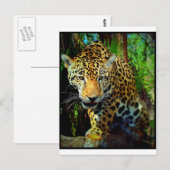 Jaguar Postkarte (Vorne/Hinten)