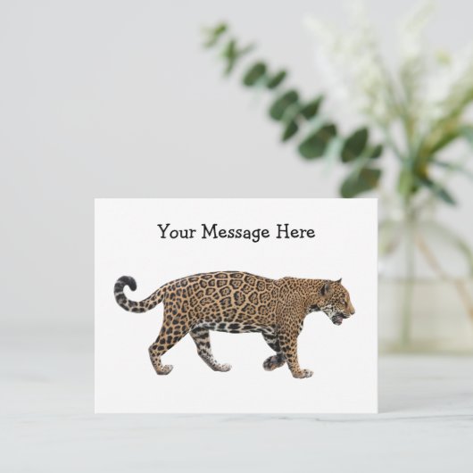 Jaguar Postkarte (Stehend Vorderseite)