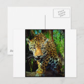 Jaguar Postkarte (Vorne/Hinten)