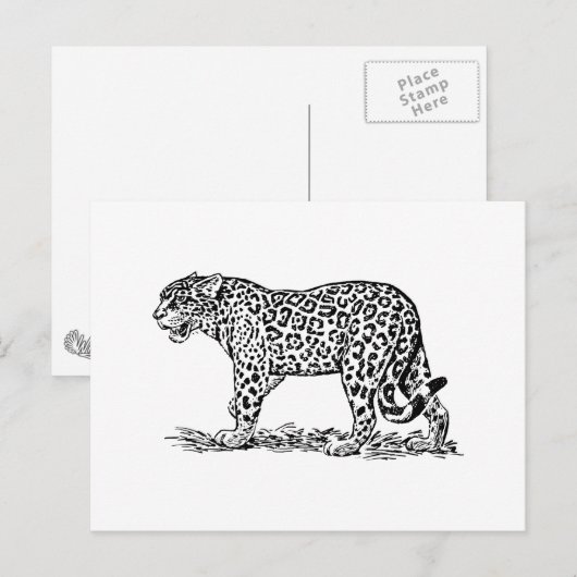 Jaguar Postkarte (Vorne/Hinten)