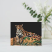 Jaguar Postkarte (Stehend Vorderseite)