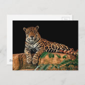 Jaguar Postkarte (Vorne/Hinten)