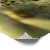 Jaguar Print Poster (Ecke)