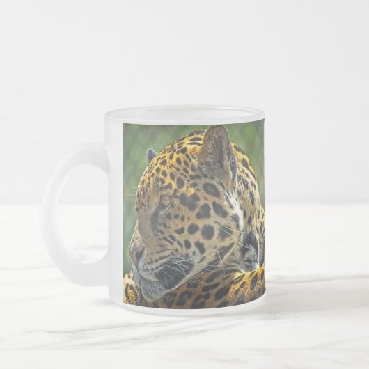 Jaguar-Profil Mattglastasse (Links)