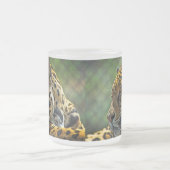 Jaguar-Profil Mattglastasse (Mittel)