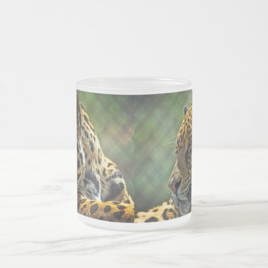 Jaguar-Profil Mattglastasse (Mittel)