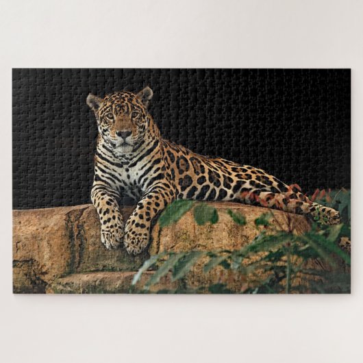Jaguar Puzzle (Horizontal)