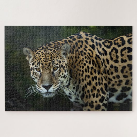 Jaguar Puzzle (Horizontal)