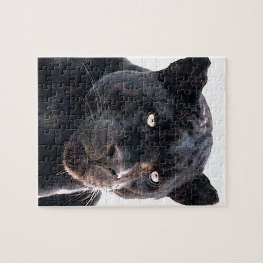 Jaguar Puzzle (Horizontal)