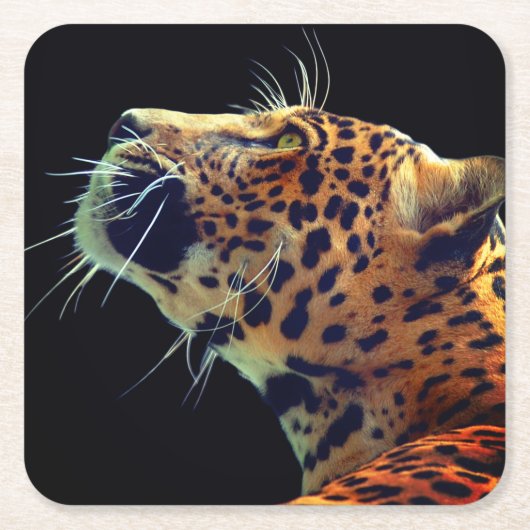 Jaguar Rechteckiger Pappuntersetzer (Vorderseite)