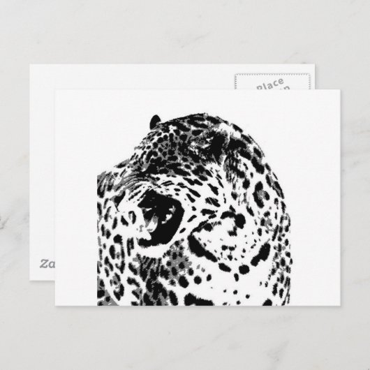 Jaguar Roaring Postkarte (Vorne/Hinten)