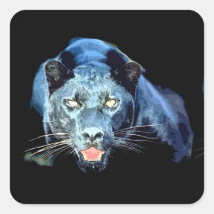 Jaguar - Schwarze Panther Cat Square Stickers