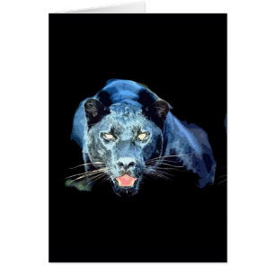 Jaguar - schwarzer Panther