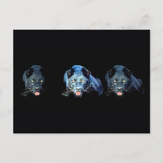Jaguar - Schwarzer Panther Postkarte (Vorderseite)