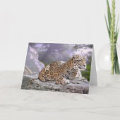 Jaguar und Mayan Temple Card Karte (Vorderseite)