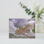 Jaguar und Mayan Temple Postkarte (Stehend Vorderseite)