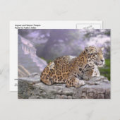 Jaguar und Mayan Temple Postkarte (Vorne/Hinten)