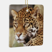 Jaguar-Verzierung Keramikornament (Rechts)