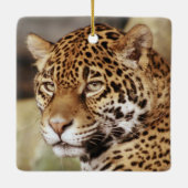 Jaguar-Verzierung Keramikornament (Rückseite)