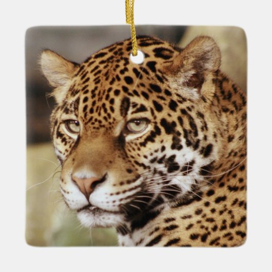 Jaguar-Verzierung Keramikornament (Vorderseite)