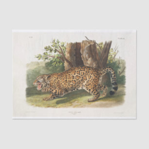 Jaguar von Nordamerika (1845) Dekoupage Seidenpapier