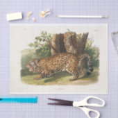 Jaguar von Nordamerika (1845) Dekoupage Seidenpapier (Handwerk)