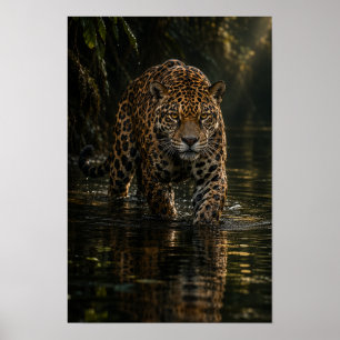 Jaguar watet durch dunklen Dschungel Wasser Wildti Poster
