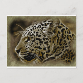 Jaguar Wild Cat Spots African Safari Destiny Postkarte