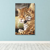 Jaguar Wrapped Canvas Leinwanddruck (Insitu (Holzboden))
