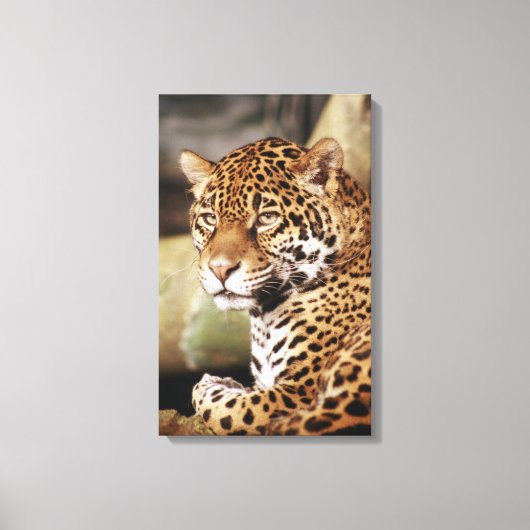 Jaguar Wrapped Canvas Leinwanddruck (Vorderseite)
