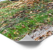 Jaguar XJS V12 Cabriolet Poster (Ecke)