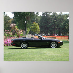 Jaguar XK8-Konvertible Poster