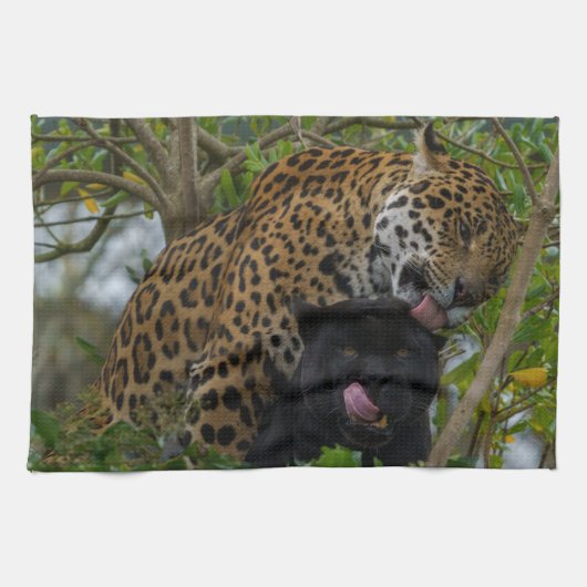 Jaguare in Liebe Geschirrtuch (Horizontal)