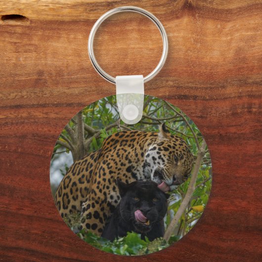 Jaguare in Liebe Schlüsselanhänger (Vorderseite)