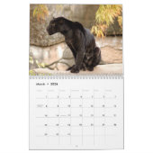 Jaguare tragen, Jaguare ein Kalender (Mär 2026)