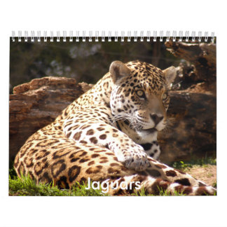 Jaguare tragen, Jaguare ein Kalender