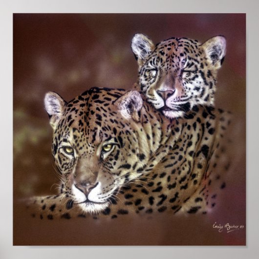 Jaguars Poster (Vorne)