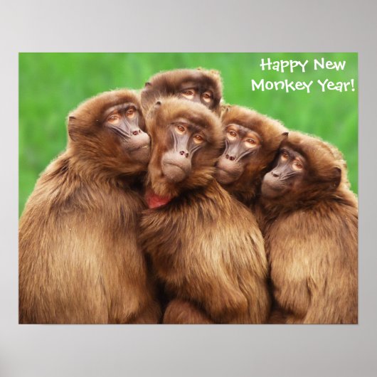 Jahr der Affenplakette Poster (Vorne)