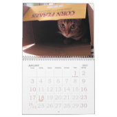 Jahr der bengalischen Katze Kalender (Jan 2027)