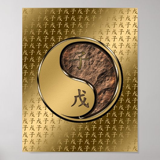 Jahr der ErderRat Poster (Vorne)