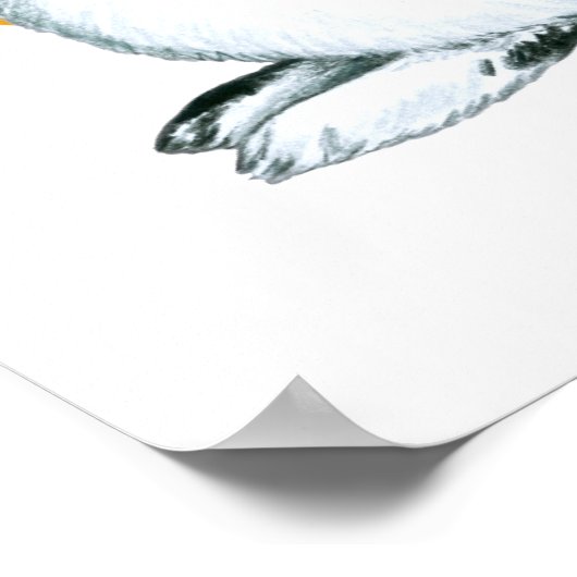 Jahr der Kaninchen-Viel Glück Poster (Ecke)