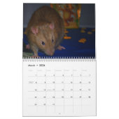 Jahr der Ratte Calander Kalender (Mär 2026)