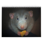 Jahr der Ratte Calander Kalender (Titelbild)