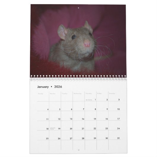 Jahr der Ratte Calander Kalender (Jan 2026)