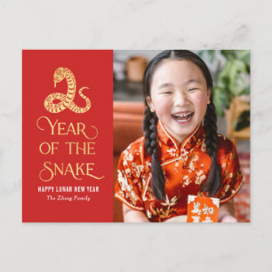 Jahr der Schlange Chinesischer Neujahrskarte Feiertagspostkarte