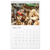 Jahr der Tiere Kalender (Feb 2027)