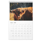 Jahr der Tiere Kalender (Mär 2027)