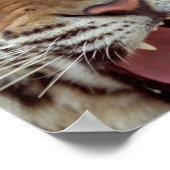 Jahr der Tiger-Poster-Printwerbung Poster (Ecke)